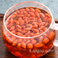 Bacca di goji wolfberry organica di lycium per salute